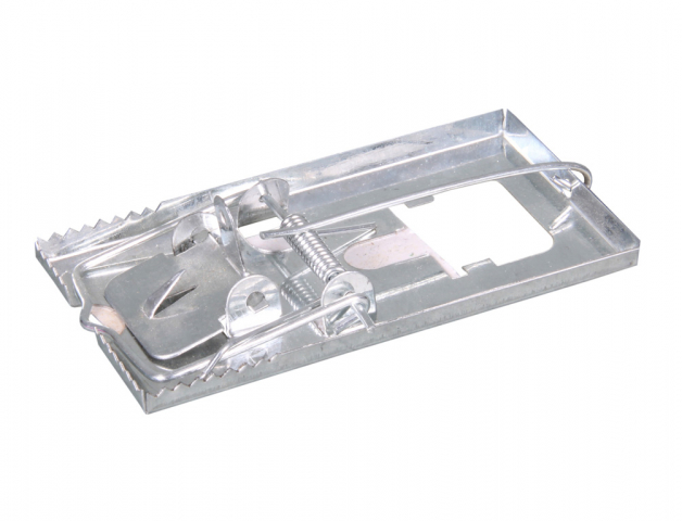 21504901251578-49111_cr